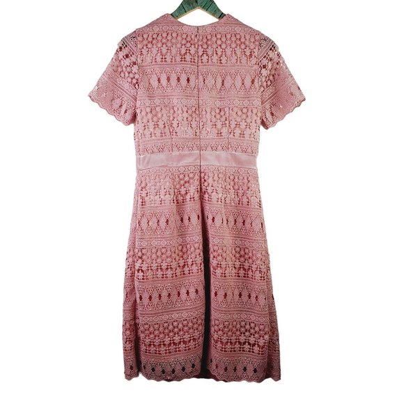 Rachel Parcell Lace Bodice, Velvet Waist Lined Midi Pencil Dress, Pink Bride, S - Picture 3 of 10